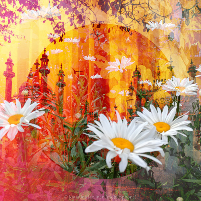 double-exposure photo Brighton Pavilion daisies